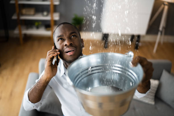 Best Mold removal after water damage  in Monticello, UT