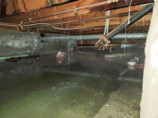 Best Ceiling water damage repair  in Monticello, UT