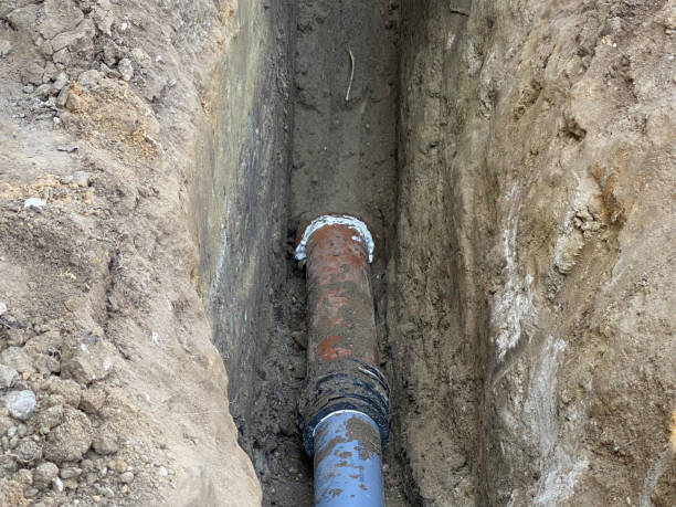 Best Professional water damage repair  in Monticello, UT
