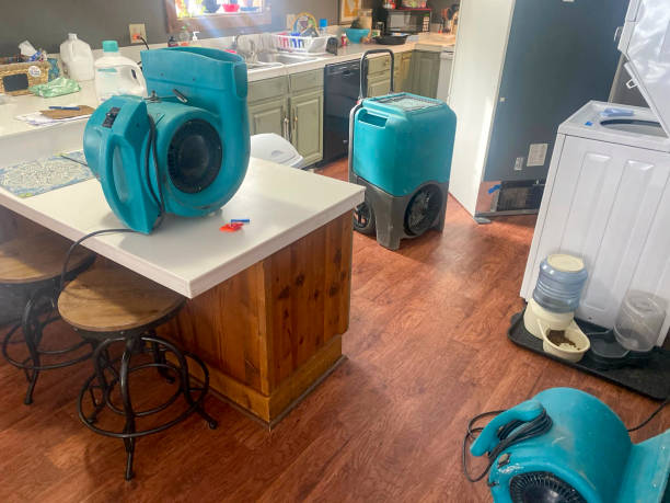 Best 24-hour water damage restoration  in Monticello, UT
