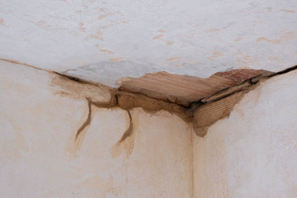 Best Water damage contractors near me  in Monticello, UT