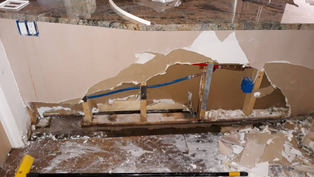 Best Water damage cleanup near me  in Monticello, UT