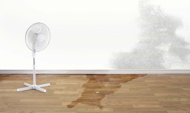 Reliable Monticello, UT Water damage restoration Solutions