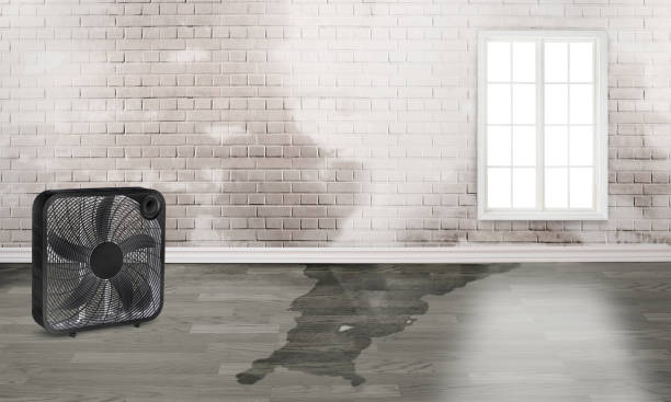 Best Emergency water damage restoration  in Monticello, UT