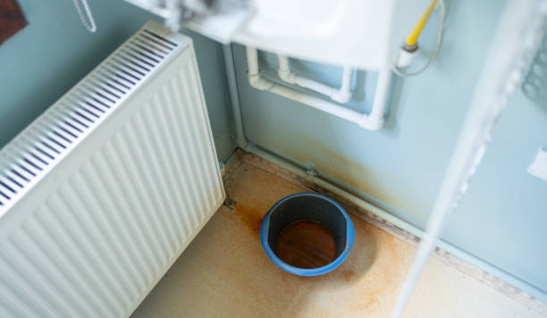 Best Flooded house restoration  in Monticello, UT